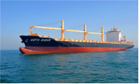 出口新加坡集装箱船租赁项目